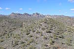 photo thumbnail #13