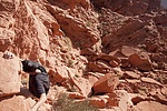 photo thumbnail #7