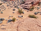 photo thumbnail #5