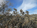 photo thumbnail #5