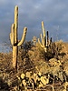 photo thumbnail #1