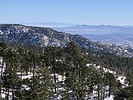 photo thumbnail #11