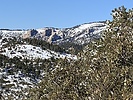 photo thumbnail #15