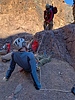 photo thumbnail #5
