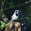 photo thumbnail #14