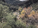 photo thumbnail #8