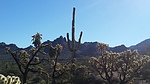 photo thumbnail #1