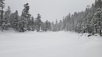 photo thumbnail #9