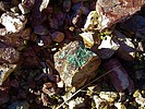 photo thumbnail #4