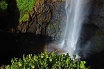 photo thumbnail #12
