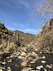 photo thumbnail #8