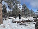 photo thumbnail #6
