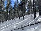 photo thumbnail #9