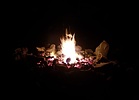 photo thumbnail #11