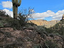 photo thumbnail #4