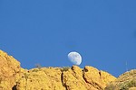 photo thumbnail #10
