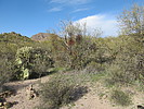 photo thumbnail #15