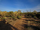 photo thumbnail #3