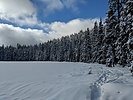 photo thumbnail #3