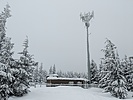 photo thumbnail #9