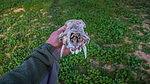 photo thumbnail #7