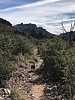 photo thumbnail #12