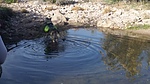 photo thumbnail #5