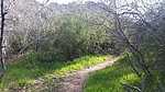 photo thumbnail #7