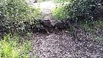 photo thumbnail #11