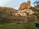 photo thumbnail #8