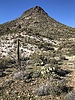 photo thumbnail #5
