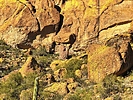 photo thumbnail #13