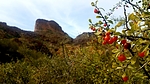 photo thumbnail #12