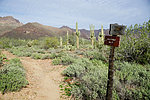 photo thumbnail #2