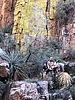 photo thumbnail #9