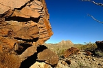 photo thumbnail #8