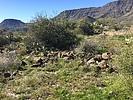 photo thumbnail #7