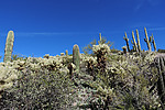 photo thumbnail #8