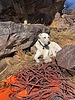 photo thumbnail #3
