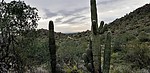 photo thumbnail #2