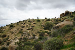 photo thumbnail #3