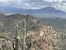photo thumbnail #1