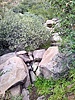 photo thumbnail #14