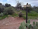 photo thumbnail #2