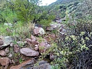 photo thumbnail #4