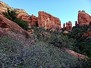 photo thumbnail #4