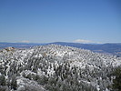 photo thumbnail #11
