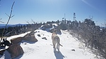 photo thumbnail #6