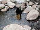photo thumbnail #12