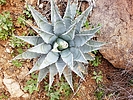 photo thumbnail #10